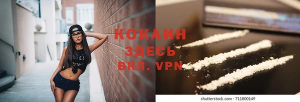 ешки Семилуки